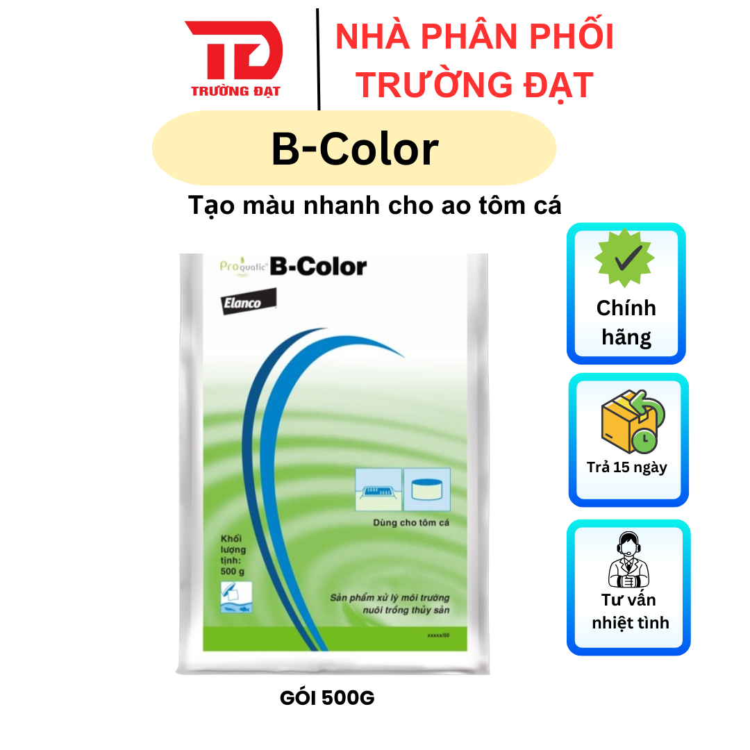 B Color - Ảnh 2